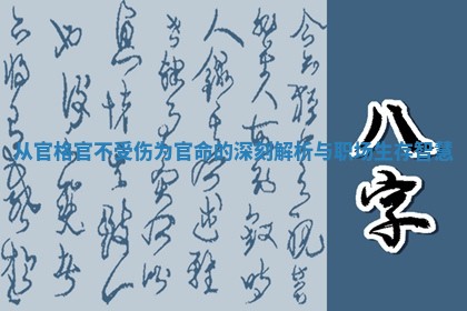 从官格官不受伤为官命的深刻解析与职场生存智慧