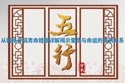 从弱格身弱男命婚姻详解揭示爱情与命运的深刻关系