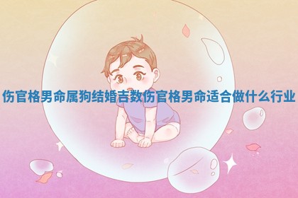 伤官格男命属狗结婚吉数_伤官格男命适合做什么行业