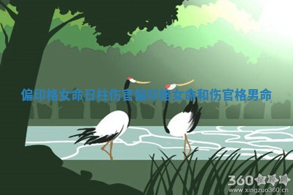 偏印格女命日柱伤官 偏印格女命和伤官格男命