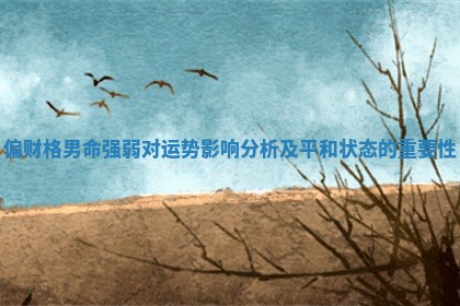 偏财格男命强弱对运势影响分析及平和状态的重要性