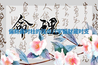 偏财藏时柱的强命八字 偏财藏时支