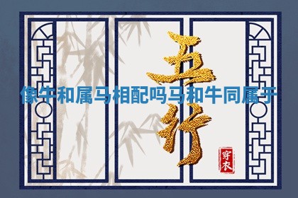 像牛和属马相配吗_马和牛同属于