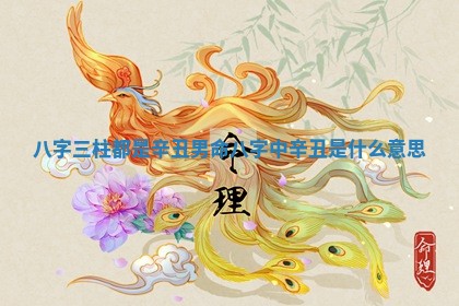 八字三柱都是辛丑男命 八字中辛丑是什么意思