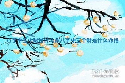 八字中三个财是什么命 八字中三个财是什么命格