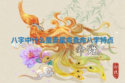 八字中什么是贵星命 贵命八字特点 八字中什么是贵星命 贵命八字特点