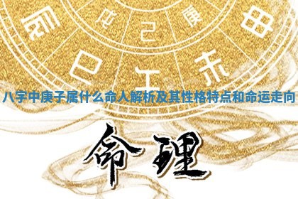 八字中庚子属什么命人解析及其性格特点和命运走向