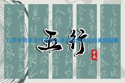 八字中的年支代表什么命揭示你命运的关键因素