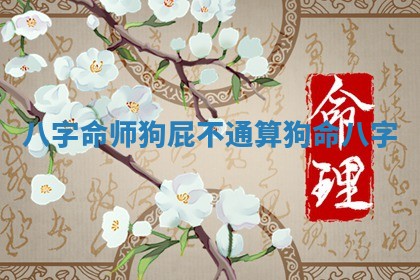 八字命师狗屁不通_算狗命八字