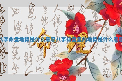 八字命盘地势是什么意思_八字排盘里的地势是什么意思
