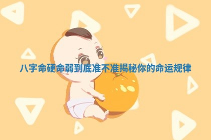 八字命硬命弱到底准不准揭秘你的命运规律