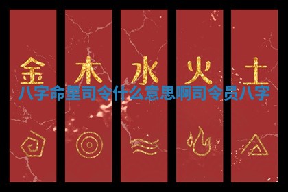 八字命里司令什么意思啊_司令员八字 八字命里司令什么意思啊_司令员八字