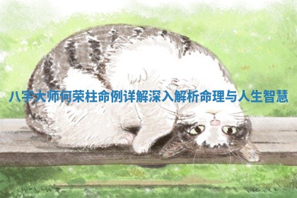 八字大师何荣柱命例详解 深入解析命理与人生智慧