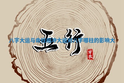 八字大运与命柱相冲_大运对八字哪柱的影响大