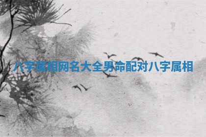 八字属相网名大全男命配对 八字 属相