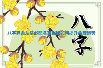 八字弃命从杀必配名家揭秘如何提升命理运势