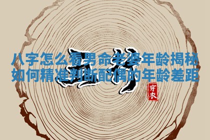 八字怎么看男命老婆年龄揭秘如何精准判断配偶的年龄差距