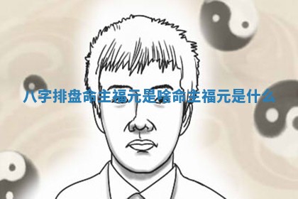 八字排盘命主福元是啥_命主福元是什么