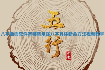 八字断命软件有哪些用途 八字具体断命方法视频教学