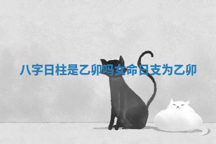 八字日柱是乙卯吗女命 日支为乙卯