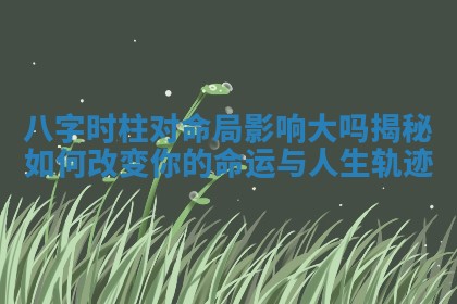 八字时柱对命局影响大吗揭秘如何改变你的命运与人生轨迹