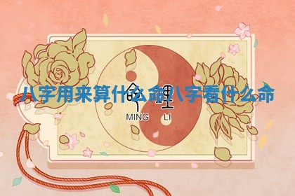 八字用来算什么命_八字看什么命