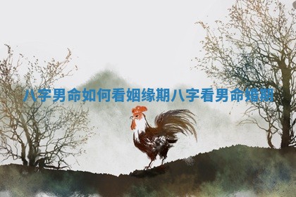 八字男命如何看姻缘期_八字看男命婚期