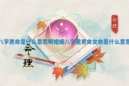 八字男命是什么意思啊婚姻_八字里男命女命是什么意思