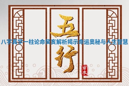 八字真学一柱论命癸亥解析揭示命运奥秘与人生智慧