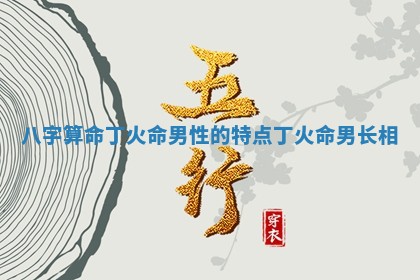 八字算命丁火命男性的特点_丁火命男长相