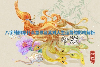 八字纯阴命什么意思及其对人生运势的影响解析 八字纯阴命什么意思及其对人生运势的影响解析