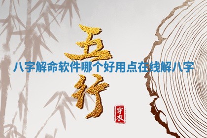八字解命软件哪个好用点_在线解八字