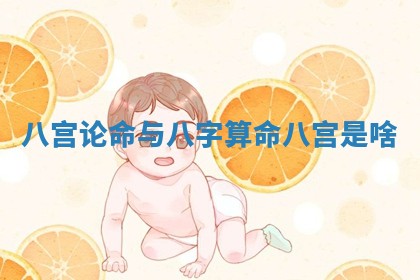 八宫论命与八字算命_八宫是啥
