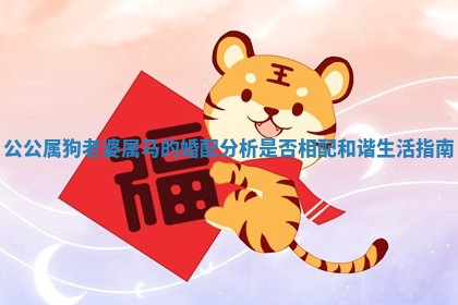 公公属狗老婆属马的婚配分析是否相配和谐生活指南