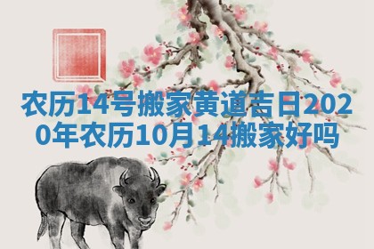 农历14号搬家黄道吉日_2020年农历10月14搬家好吗