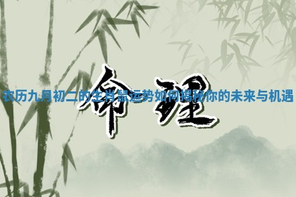 农历九月初二的生肖鼠运势如何揭秘你的未来与机遇