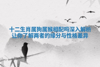 十二生肖属狗属猴相配吗深入解析让你了解两者的缘分与性格差异