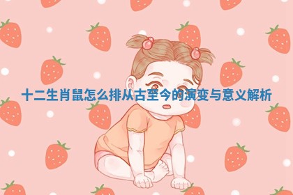 十二生肖鼠怎么排从古至今的演变与意义解析