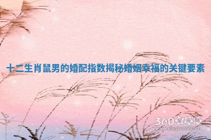 十二生肖鼠男的婚配指数揭秘婚姻幸福的关键要素