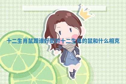 十二生肖鼠跟谁好配对_十二生肖的鼠和什么相克