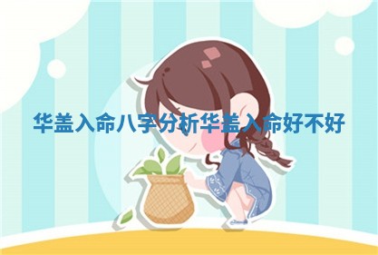 华盖入命八字分析 华盖入命好不好 华盖入命八字分析 华盖入命好不好