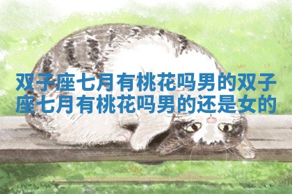 双子座七月有桃花吗男的 双子座七月有桃花吗男的还是女的