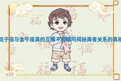 双子座与金牛座真的互看不顺眼吗揭秘两者关系的真相