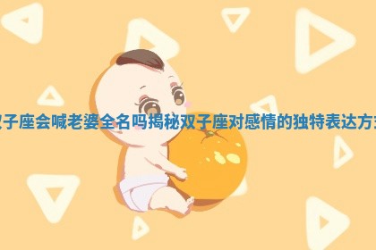 双子座会喊老婆全名吗揭秘双子座对感情的独特表达方式