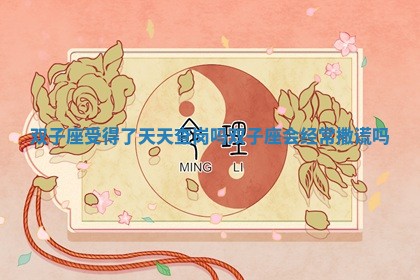 双子座受得了天天查岗吗_双子座会经常撒谎吗