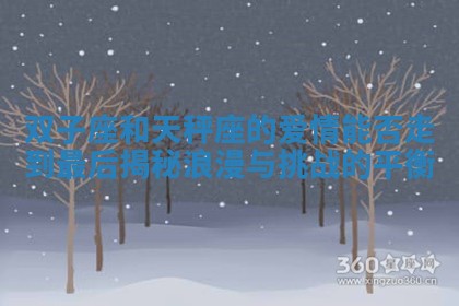 双子座和天秤座的爱情能否走到最后揭秘浪漫与挑战的平衡