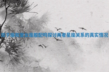 双子座和室女座般配吗探讨两者星座关系的真实情况