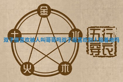 双子座喜欢被人叫哥哥吗_双子座喜欢别人粘着他吗