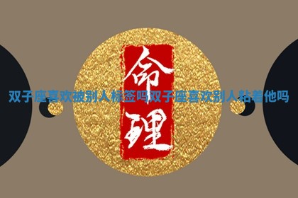 双子座喜欢被别人标签吗 双子座喜欢别人粘着他吗