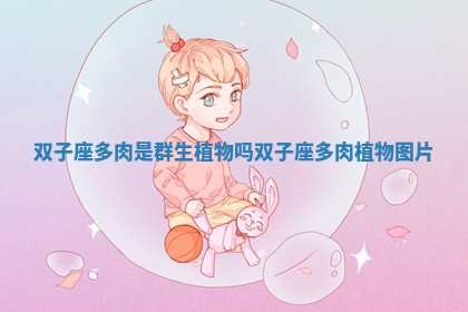 双子座多肉是群生植物吗 双子座多肉植物图片